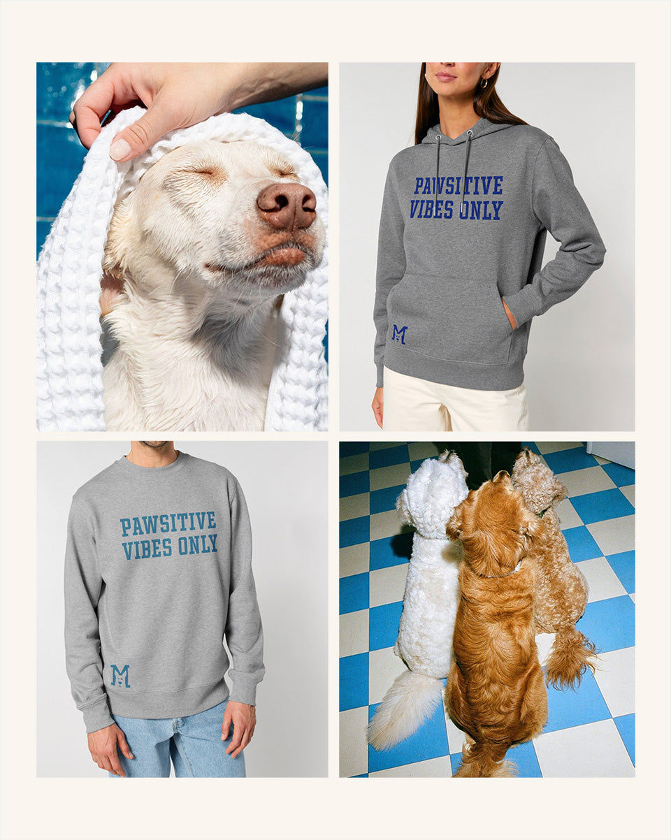 PAWSITIVE VIBES ONLY  boyfriend smart-shirt