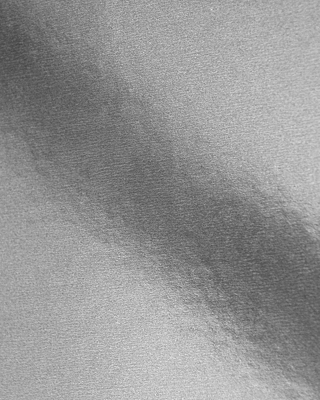 PAWSONAL TRAINER fitted smart-shirt