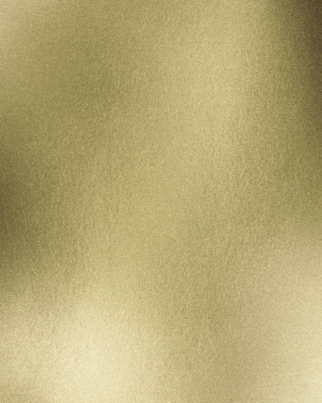 GOLDEN LADY 963 relaxed smart-tee