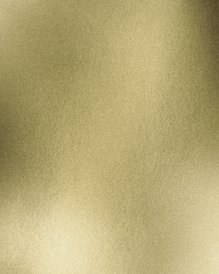 GOLDEN LADY 963 relaxed smart-tee