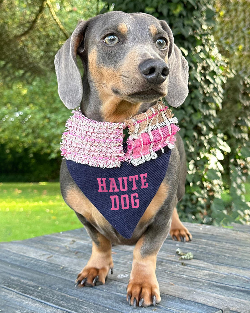 HAUTE DOG dog v-neck