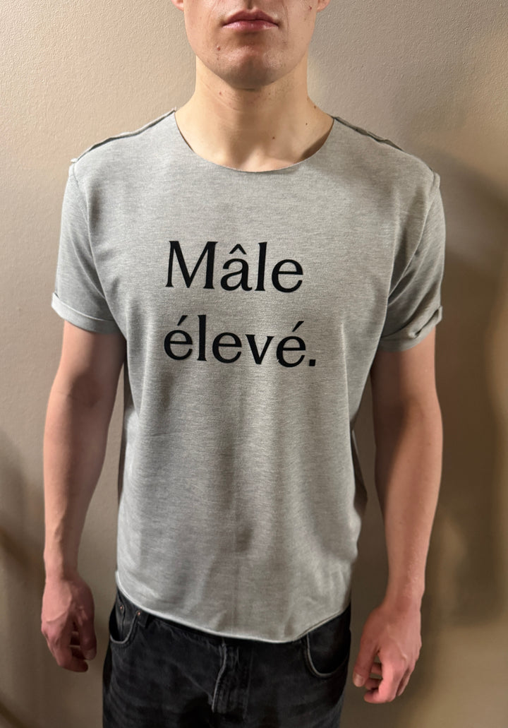Mâle élevé smart-tee for HIM