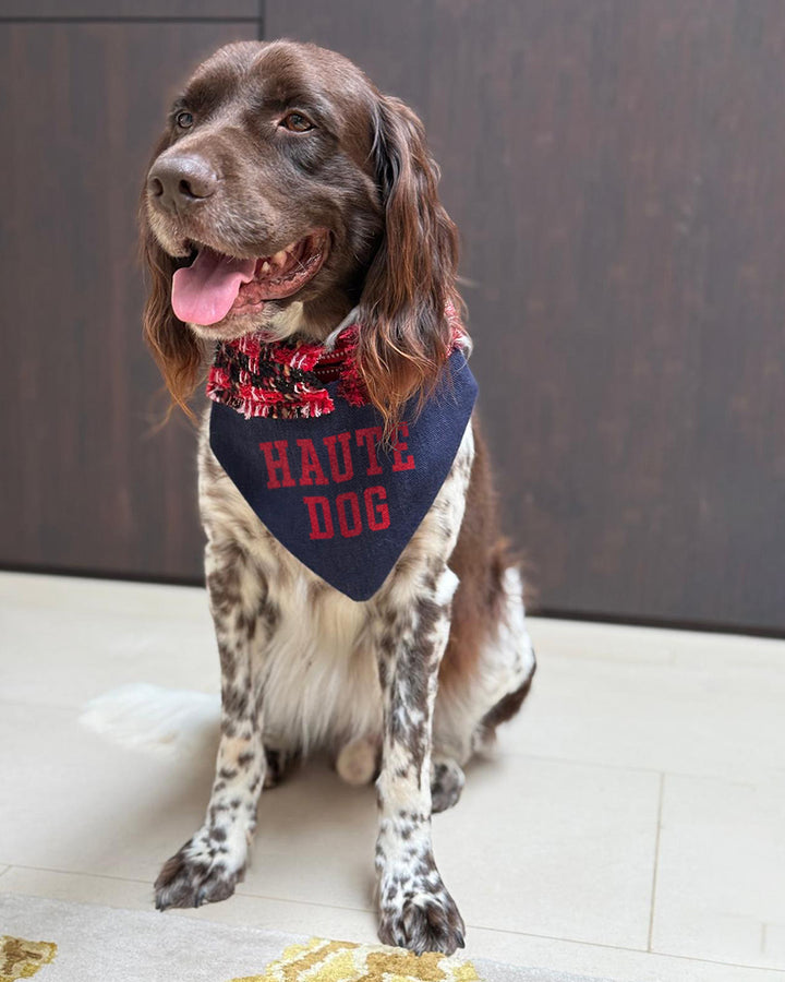 HAUTE DOG dog v-neck