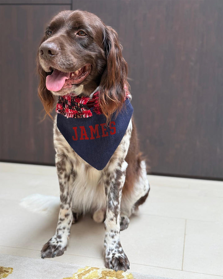 PERSONALISED dog v-neck