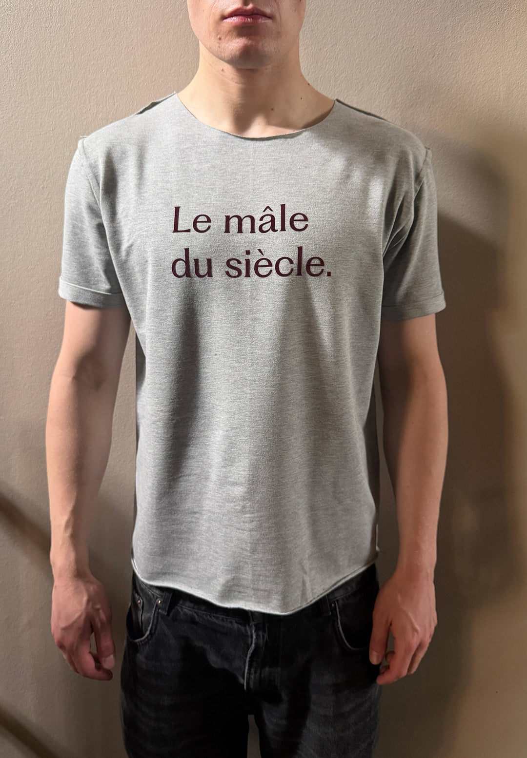 Mâle du siècle smart-tee for HIM