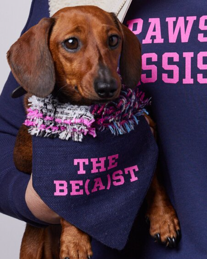 PERSONALISED dog v-neck
